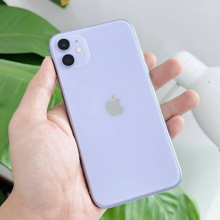 iPhone 11 các màu tại Quan Apple